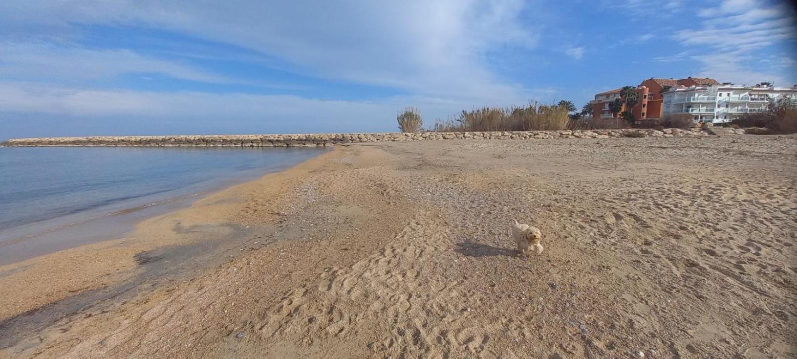 Beach View - Primera Linea Lujo Denia Exterior photo
